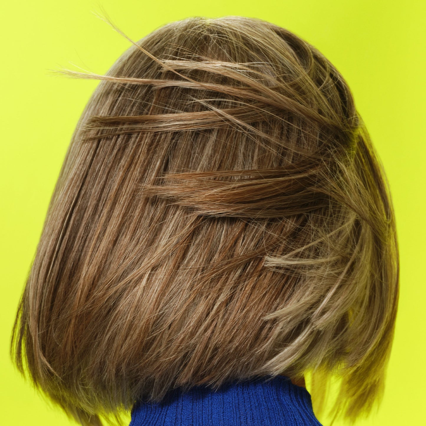 frizz-to-rizz-trio-y0 111725_Vicky_HumidityAntifrizz-Editorial_0538_w2QC_IGF_1x1_05a09617-4ccf-44a2-8545-199321a503e1.jpg