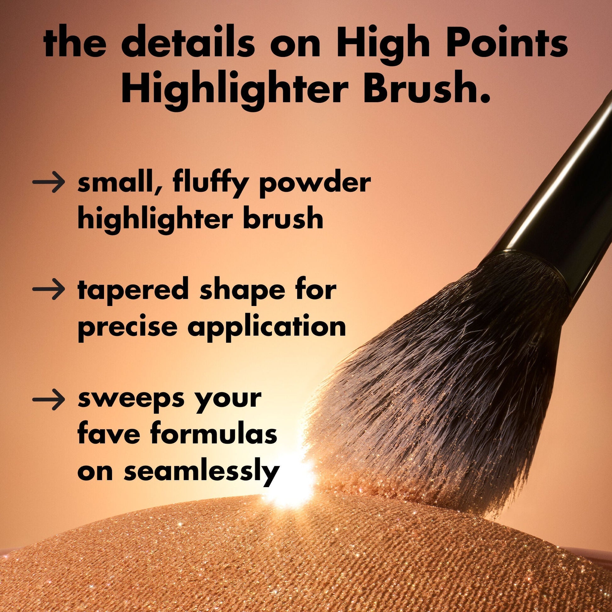high-points-highlighter-brush-m1 0226_EDU_HighpointsHighlighterBrush_Details.jpg