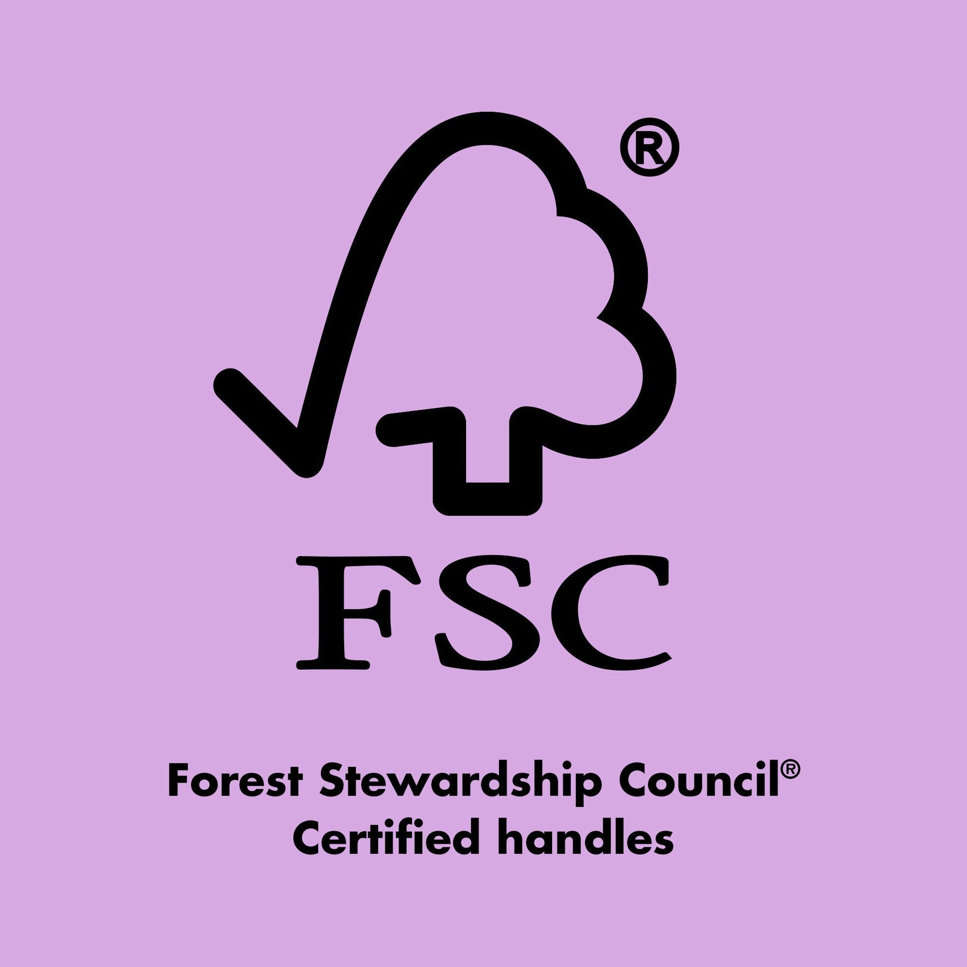 ten-out-of-ten-brush-kit-v8 0423_EDUCATION_FSC_EVERGREEN.jpg
