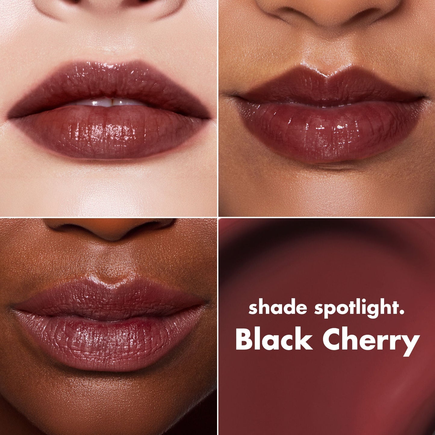 lip-lacquer-d6 0426_EDU_LipLaquer_ShadeChart_BlackCherry.jpg
