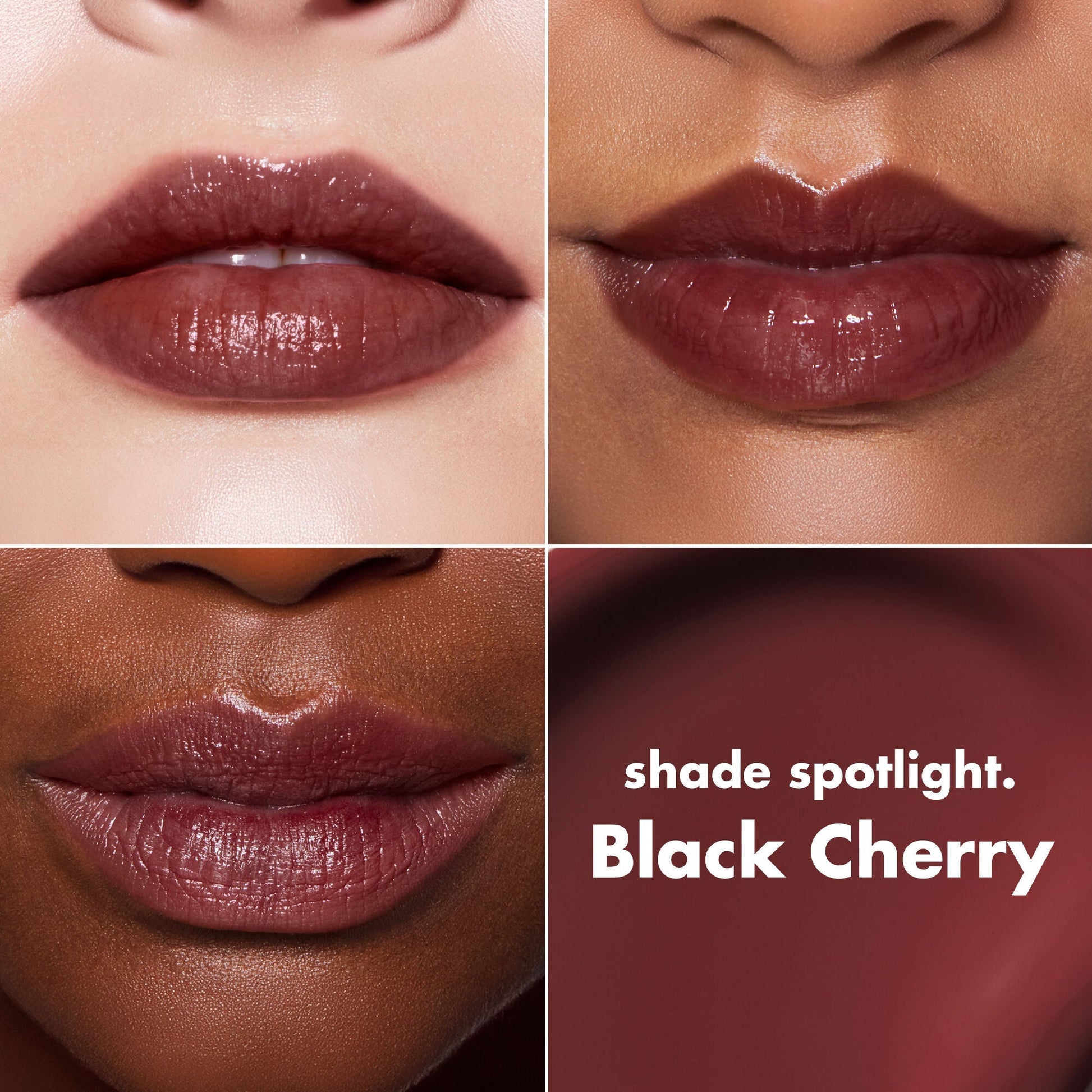 lip-lacquer-d6 0426_EDU_LipLaquer_ShadeChart_BlackCherry.jpg