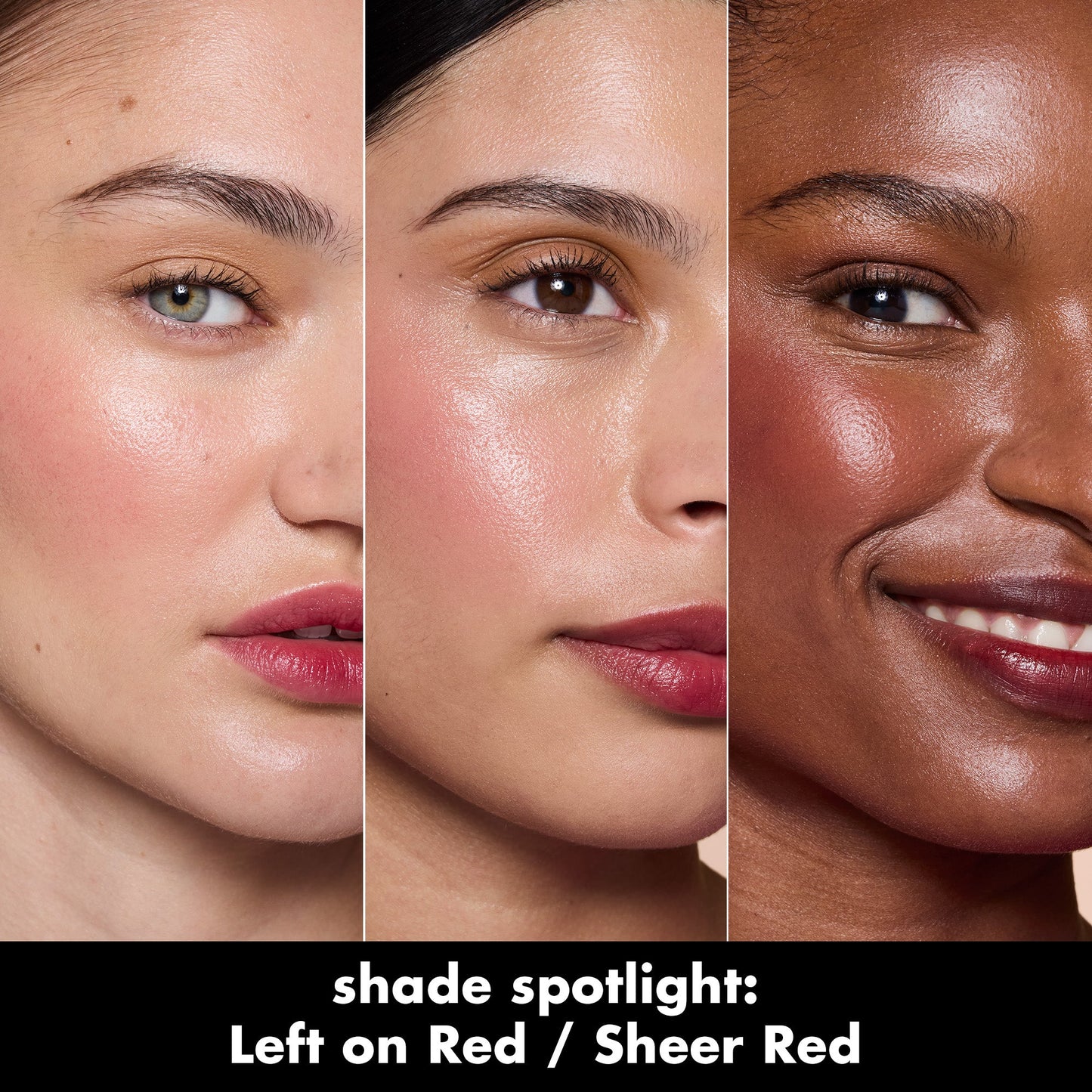 sheer-for-it-blush-tint-z5 0526_SEO_SheerForIt_ShadeSpotlight_LeftOnRed.jpg
