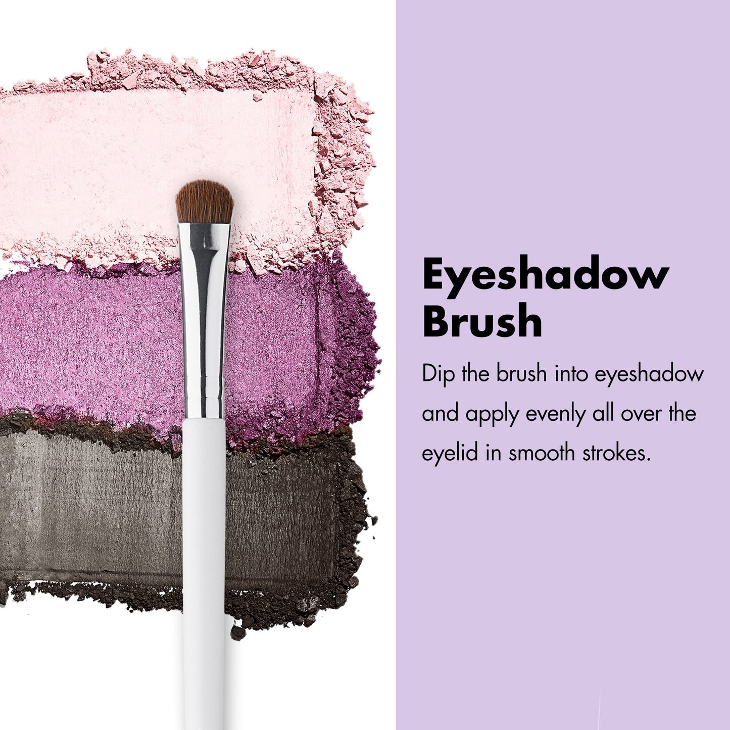 professional-set-of-12-makeup-brushes-p1 ProfessionalBrushes_Eye_EyeshadowBrush_PDP_Edu_2000x2000_2418e3b8-bb65-4e6d-af53-e6d0aab002ae.jpg